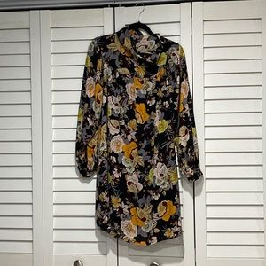 Dress ( long sleeve)